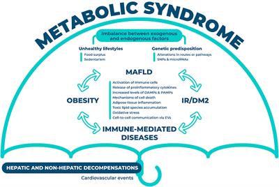 Analysis of Common Pathways and Markers From Non-Alcoholic Fatty Liver Disease to Immune-Mediated Diseases